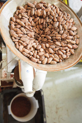 Volo Chocolate: The Sweet Life